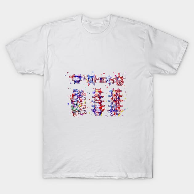 Lumbar spine structure T-Shirt by RosaliArt